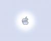 Apple Mac 24